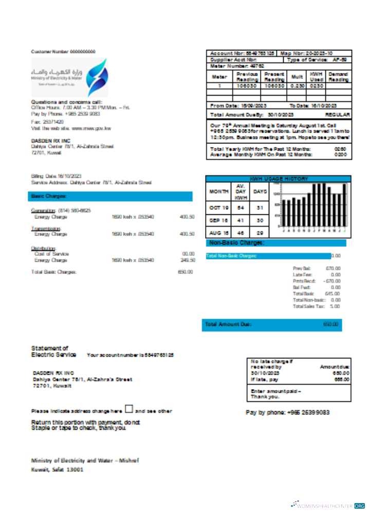 Download Ministry of Electricity and Water Kuwait utility business bill, SCR Photoshop template